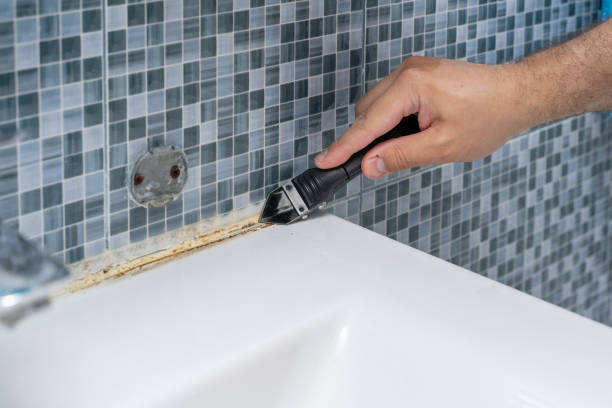 Best Fast Mold Removal  in Dickson, TN